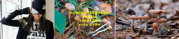 таблы Майский