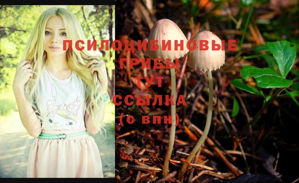 герыч Мегион
