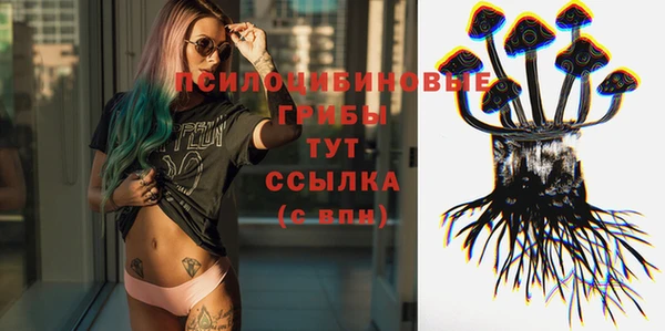 а пвп мука Магас