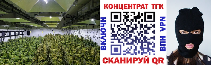 MEGA зеркало  Красково  Дистиллят ТГК Wax 