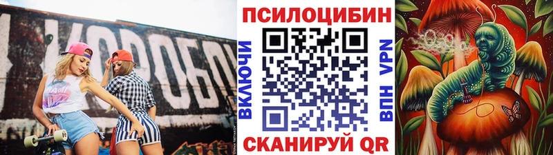 цены   Красково  Псилоцибиновые грибы Psilocybe 